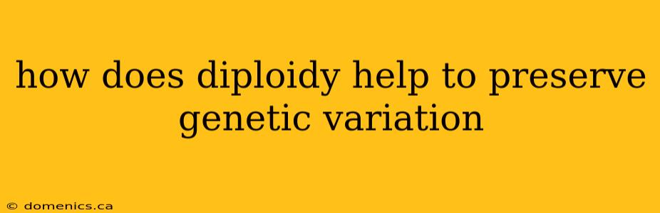 how does diploidy help to preserve genetic variation