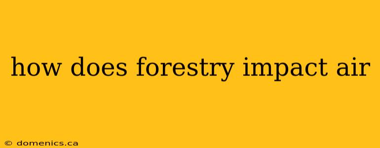 how does forestry impact air
