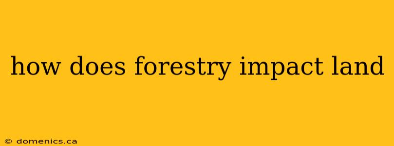 how does forestry impact land