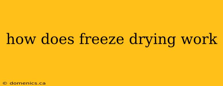 how does freeze drying work