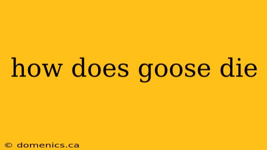 how does goose die