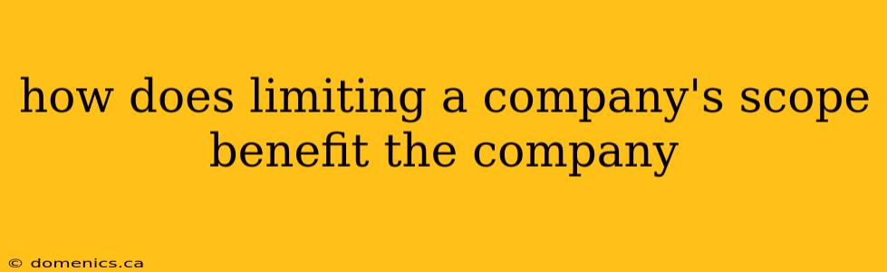 how does limiting a company's scope benefit the company