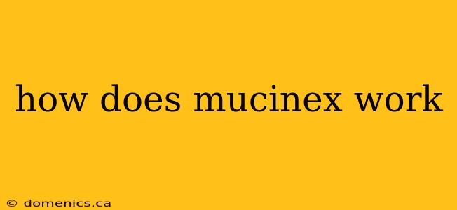 how does mucinex work