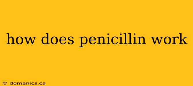 how does penicillin work