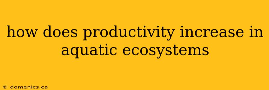 how does productivity increase in aquatic ecosystems