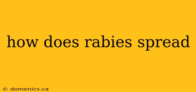 how does rabies spread