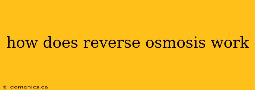 how does reverse osmosis work