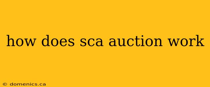 how does sca auction work