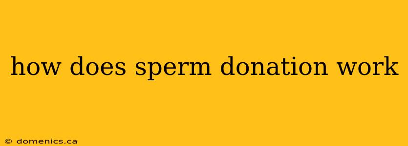 how does sperm donation work