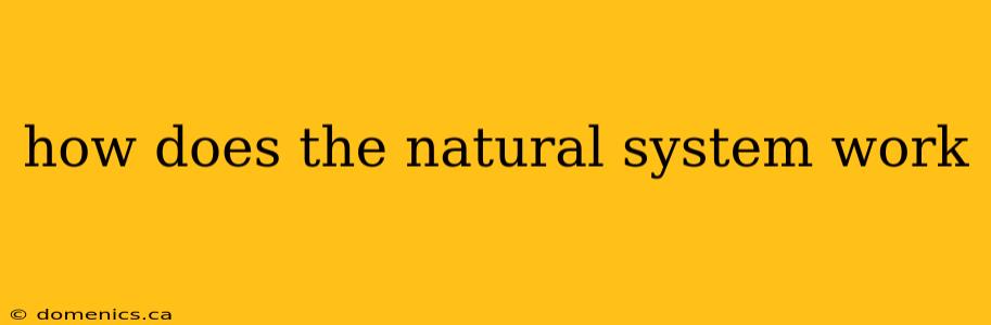 how does the natural system work
