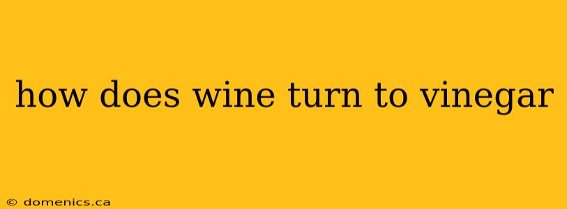 how does wine turn to vinegar