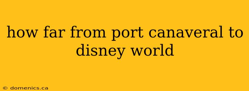 how far from port canaveral to disney world