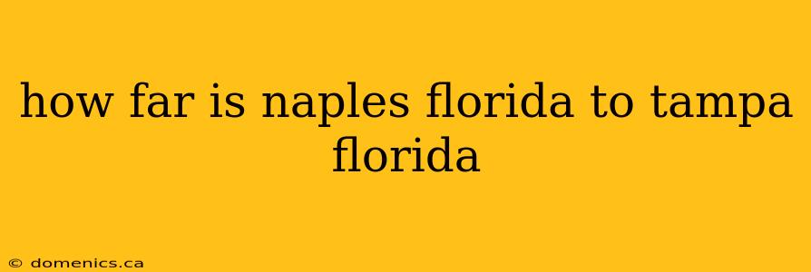 how far is naples florida to tampa florida