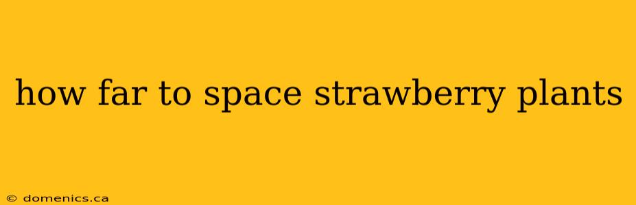 how far to space strawberry plants