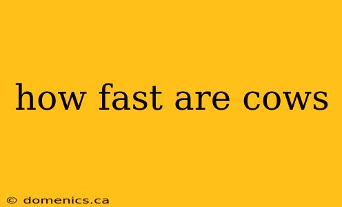 how fast are cows