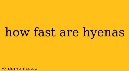 how fast are hyenas