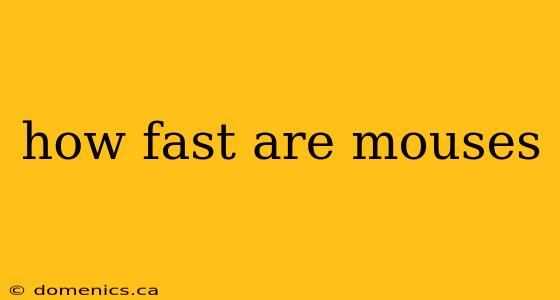 how fast are mouses