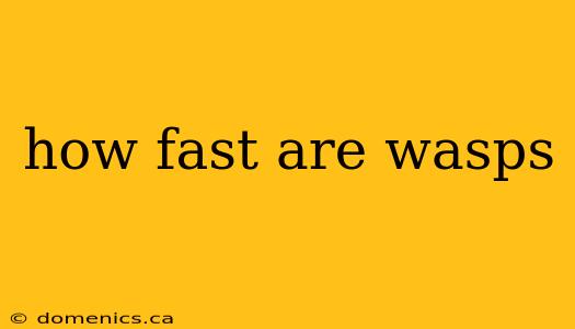 how fast are wasps