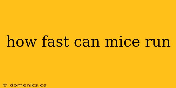 how fast can mice run