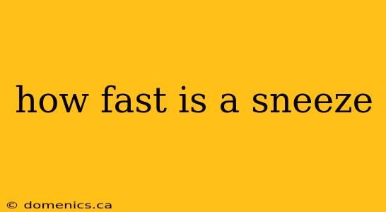 how fast is a sneeze