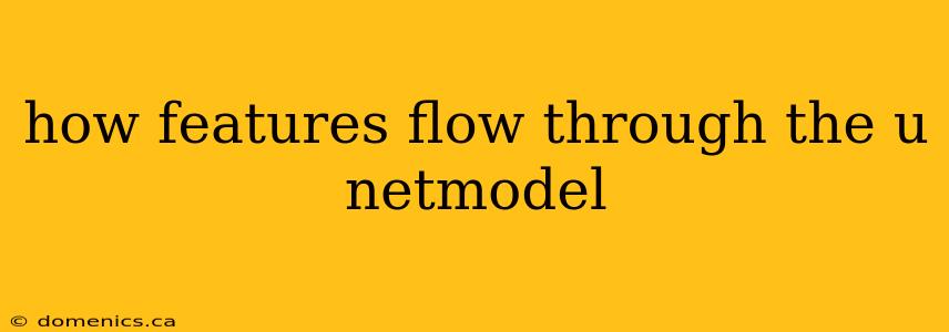 how features flow through the u netmodel