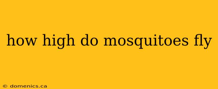 how high do mosquitoes fly