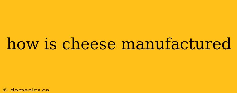 how is cheese manufactured