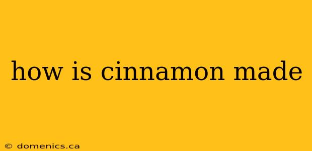 how is cinnamon made