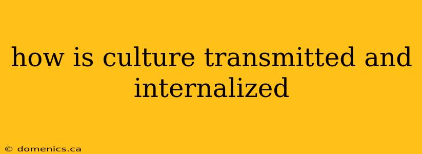 how is culture transmitted and internalized