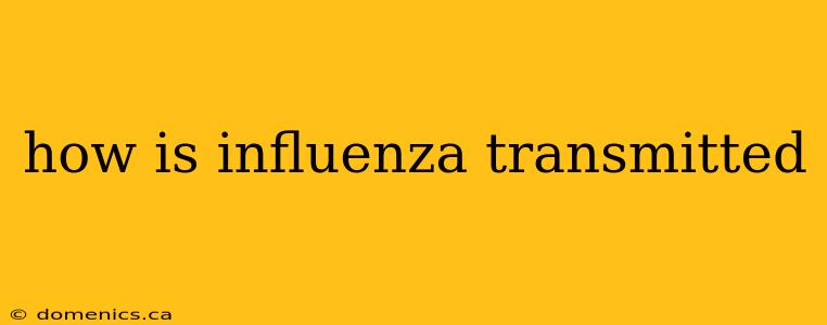 how is influenza transmitted