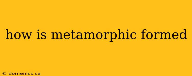 how is metamorphic formed