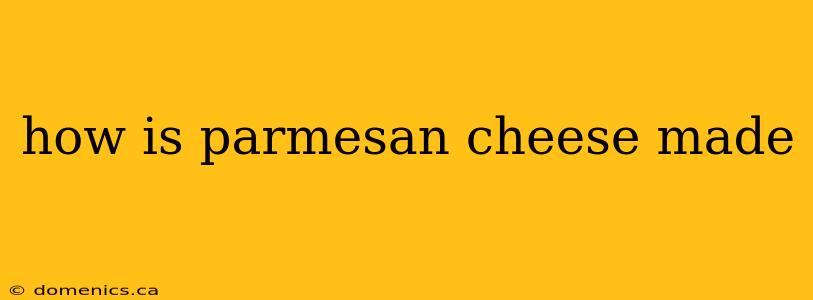 how is parmesan cheese made