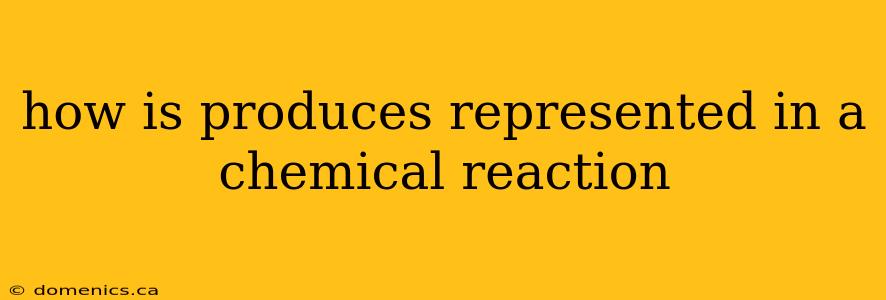 how is produces represented in a chemical reaction