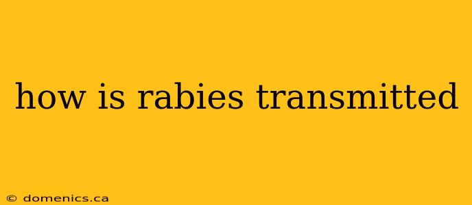 how is rabies transmitted