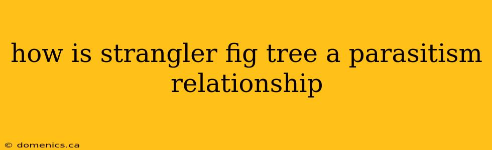 how is strangler fig tree a parasitism relationship
