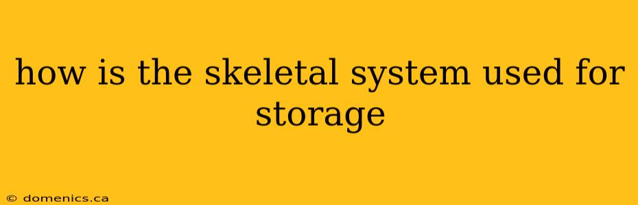 how is the skeletal system used for storage