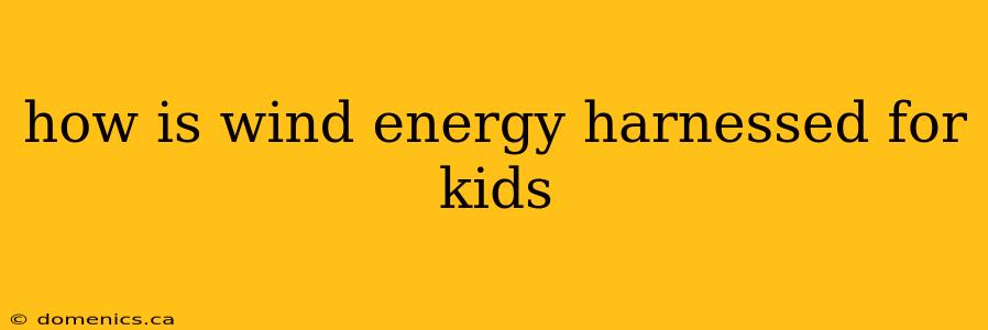 how is wind energy harnessed for kids