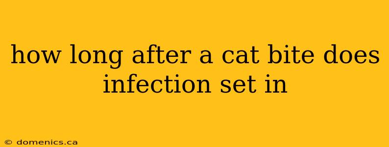 how long after a cat bite does infection set in