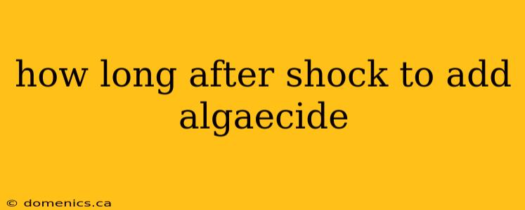 how long after shock to add algaecide