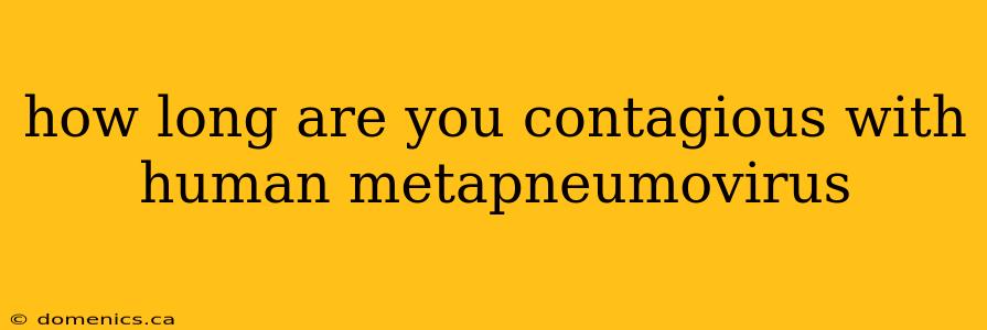 how long are you contagious with human metapneumovirus