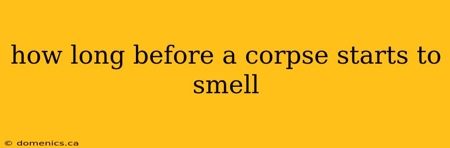 how long before a corpse starts to smell