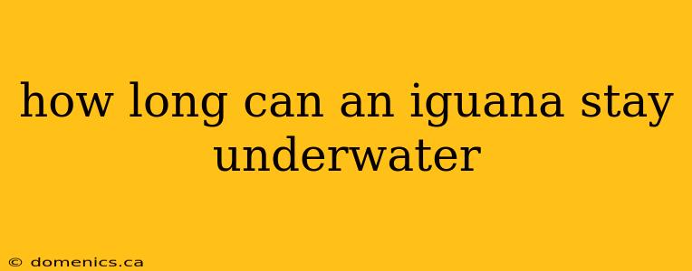 how long can an iguana stay underwater