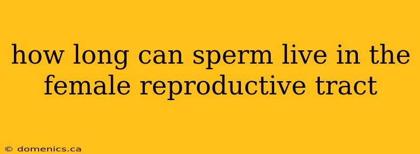 how long can sperm live in the female reproductive tract