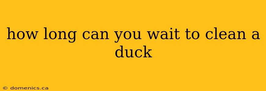 how long can you wait to clean a duck