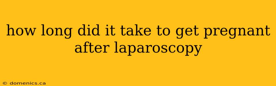 how long did it take to get pregnant after laparoscopy