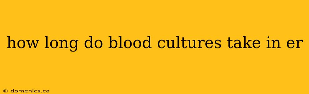 how long do blood cultures take in er