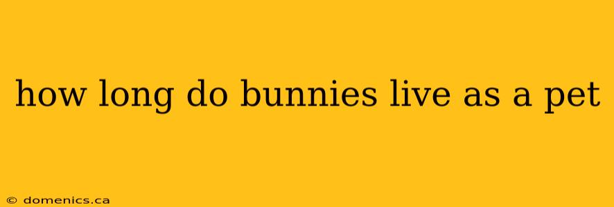 how long do bunnies live as a pet