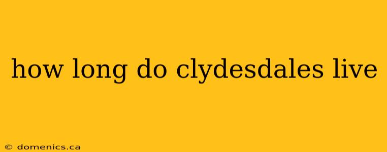 how long do clydesdales live