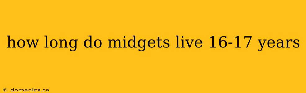 how long do midgets live 16-17 years