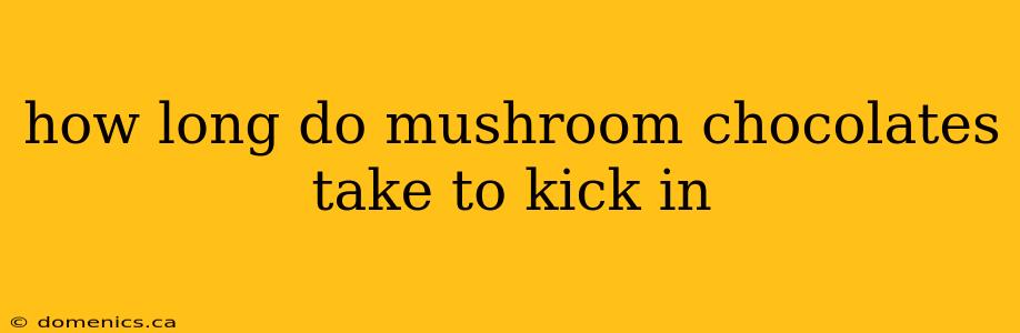 how long do mushroom chocolates take to kick in